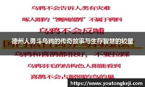 365完美体育官网